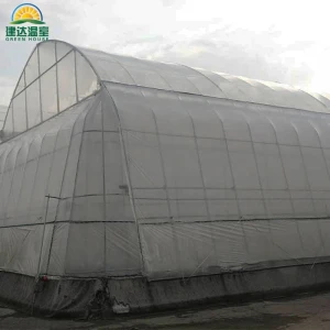 Agriculture Plastic Film Green house