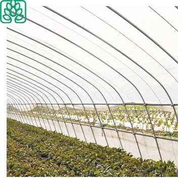 Agriculture Poly Film green house