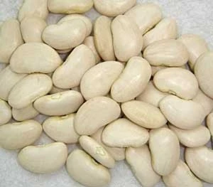 Agriculture>>Beans>>Butter Beans