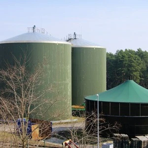 Anaerobic sludge degrading bacteria that produce Biogas from wastewater reactor