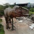 Import Animatronic dino model for park from China