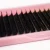 Import Anroalsh Jet Black Mega Volume Soft and Very Light Synthetic Silk Lashes Volume Cashmere Eyelash Extension 0.03 0.04 0.05 0.07mm from China