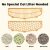 Import APP Control Self Cleaning and Electric Entrance Door Automatic Cat Litter Box for Cats with Mat-Anti-Pinch and Video Monitor from China