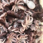 Baby Iqf Frozen Octopus For Sale