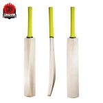Best Cricket Bats