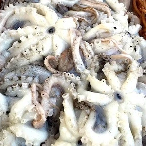 Best Deals Small octopus dried seafood raw small octopus for sale baby octopus