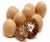 Import Best Quality Betel Nuts Thailand / BETEL NUT - ARECA NUTS / Quality whole and Split Betel Nut from Belgium