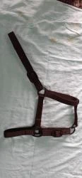 Best Quality Horse Soft Padded Halter Horse Accessory
