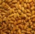 Import Best Quality Wheat from India
