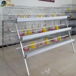 best sale chicken egg layer cages in south africa