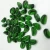 Import Best Selling Home Decoration Green Glass Cashew for Fire Pit Fireplace from China
