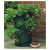 Import Best Selling Strawberry Planting Bag Garden Vegetable Grow Gag Growing Bags For Planter from China