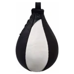 Boxing Speed Ball