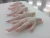 Import Brazilian Quality Halal Frozen Whole Chicken and Parts / Gizzards / Thighs / Feet / Paws / Drums from Thailand