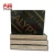 Import brown shuttering plywood as formwork from China