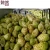 Import Bulk / OEM private label Noni fruit juice powder nutrition for Healthy Immunity Beauty from China