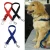 Import Car Safety Belt New Design Dog Chest Belt Wholesale Dog Body Belt. from China