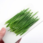 Cat snack seeds wheat from catnip grass to fur-ball catnip plant 30 g pack
