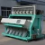 Import CCD Coffee Bean Color Sorter/ Sorting Machine (378channels) from China