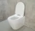 Import Ceramic cheap wall hung toilet european wc toilet one piece soft seat cover wall mounted toilet bowl from China