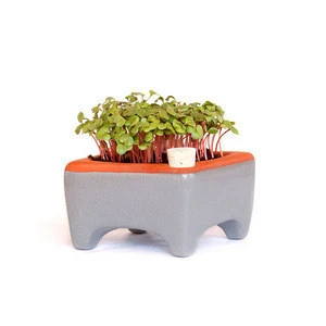 Ceramic Small  Desktop Decorative Terracotta Self Watering Flower Pot for Bonsai, Microgreen Planter