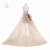 Import Champagne Short Front Long Back Prom Evening Homecoming Dress from China