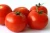 Import Cheap Fresh Tomatoes From South Africa from South Africa