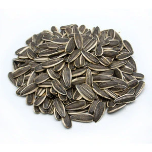 cheap sunflower seeds / sunflower seeds363