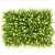 Import Cheersee Photography matching plastic vertical outdoor high quality green mat panel decor artificial plant wall for hotel from China