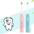 China Cheap Manufacture Electric Toothbrush