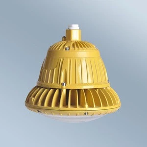 China Factory EX certificate 20W Explosion Proof LED Light