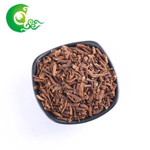 China Jilin natural plant dandelion root tea for medicine