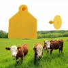 China Suppliers Cattle Management UHF RFID Animal Ear Tag