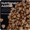 Chinese factory pet food dog organic high protein Made In China Low Price