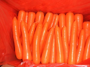 Chinese  Fresh Carrots