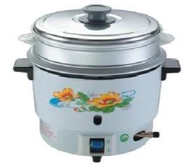 Chinese use advanced biogas rice cooker for 14 people eat, biogaselectric rice cooker