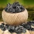 Import Common Cultivation Dried Black Fungus Premium Quality Factory OEM Service from China