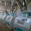 Complete Wheat Flour Mill Machinery Turkey Project Wheat Flour Mill