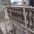 Import concrete baluster mold and fence mold  are popular in 2020 with plastic mold from China