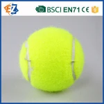 Custom and Personalized Printed Tennis Balls