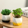 Custom colorful mini macarons ceramic succulent planter thumb flowerpot garden pot