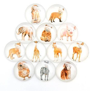 Custom Cute Design Animal Printed Crystal Fridge Magnet