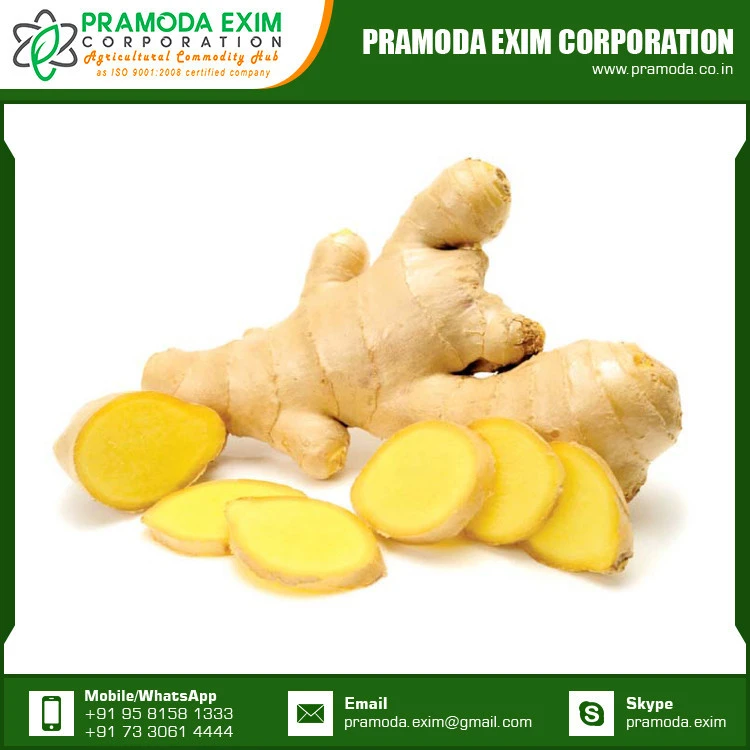 Custom Packaging Pure and Fresh Dried Ginger at Best Price