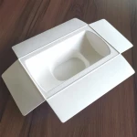 Customized Molded Sugarcane Bagasse/ Paper Pulp Compostable Biodegradable Packaging Biodegradable Gift Box