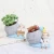Import Cute Sloth Succulent Planter Pot Flower Container Desktop Bonsai Holder For Indoor Home Decoration Balcony Decorations Doniczka from China