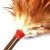 Import D-JM Factory Wholesale Cheap Colored Chicken Feather Duster from China
