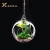 Import Decorative Modern Design Crystal Glass Vase Artificial Hanging Plants Vases from China
