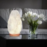 Dimmer Sleep Aid Himalayan Glow Natural Rock Night Light Salt Table Lamp