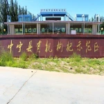 dry fruit miracle berries goji berry from 2000years planting base Ningxia, Zhongning