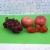 Import Dualplex 4 Pack Fruit &amp; Veggie Life Extender Liners for Fridge Mat Refrigerator Drawers Washable Pads from China
